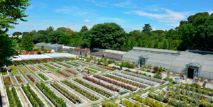 vivero casa de Campo